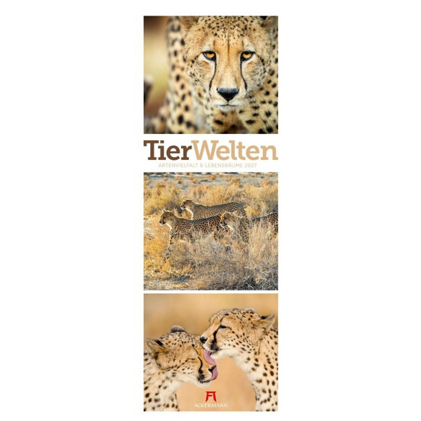 TRIPLET-KALENDER 2027