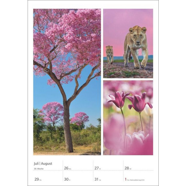 MAGIE DER FARBEN WOCHENPLANER 2027 - Kalender Ansicht 2