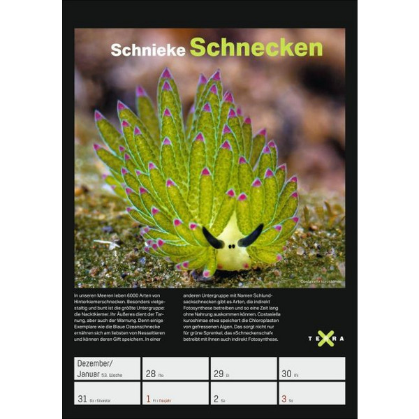 TERRA X - DAS WUNDER ERDE WOCHENPLANER 2027 - Kalender Ansicht 2